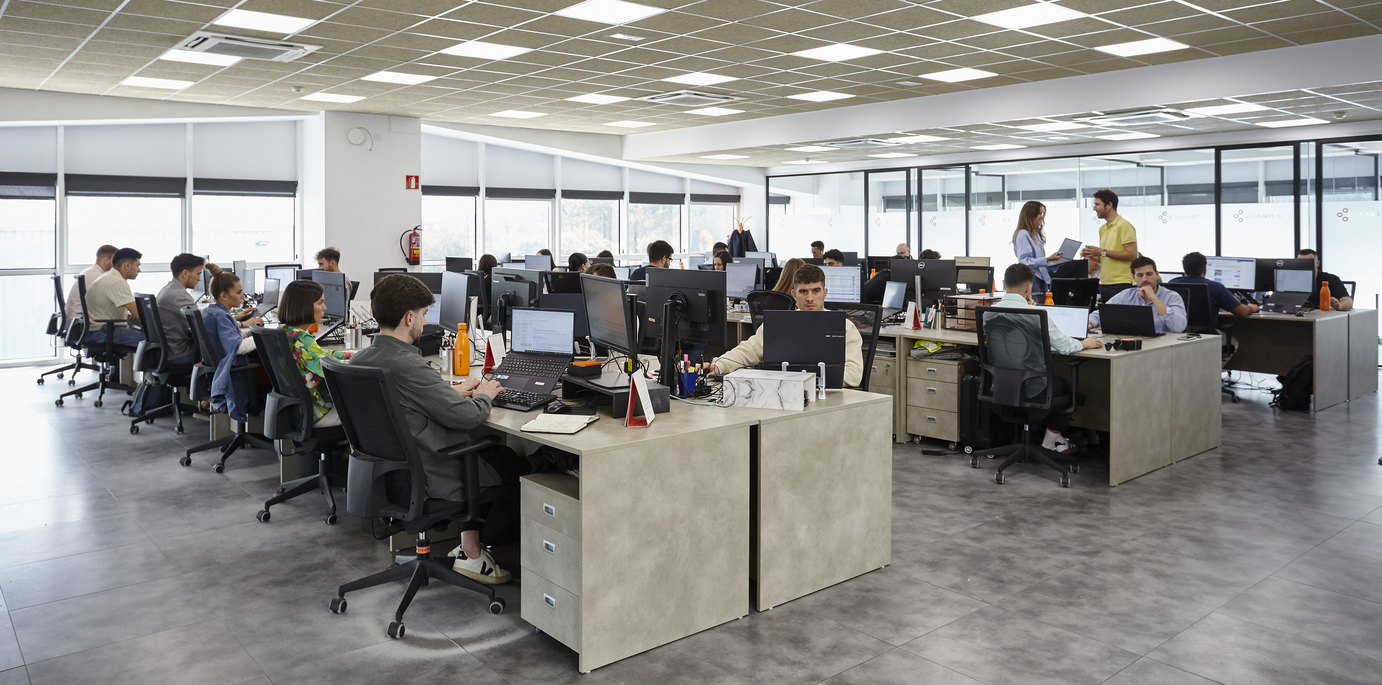 Área de trabajo