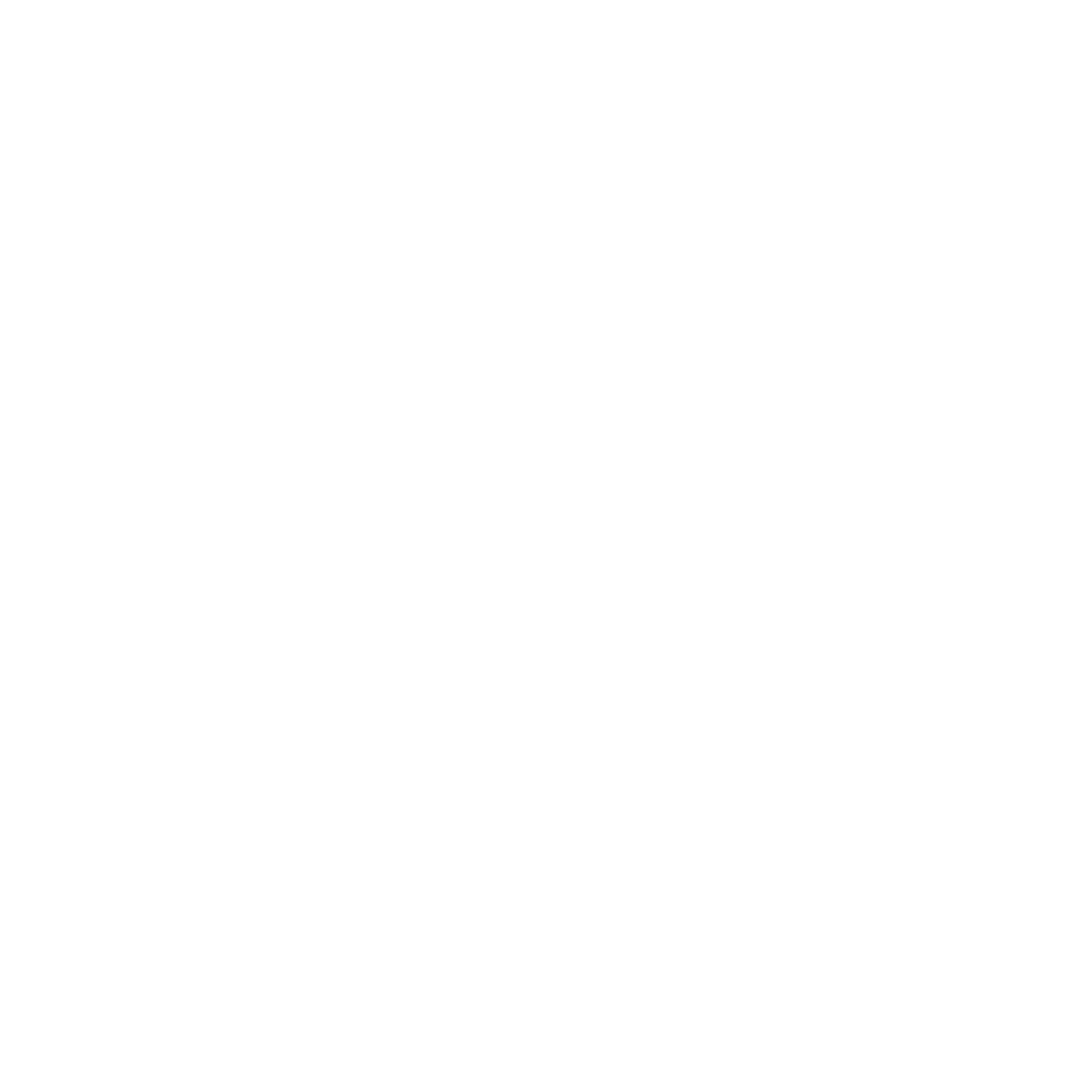 Carta diversidad 2024-2025